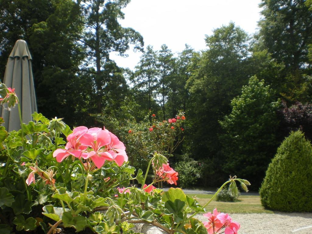 Chateau Baffy Colombiers-sur-Seulles ภายนอก รูปภาพ